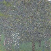 Gustav Klimt Rose Bushes Under the Trees (mk20) oil painting picture wholesale